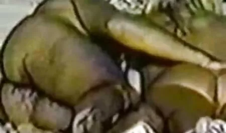 Latina adolescente recebe dela videospornoadulto justa burro fodido profundo e diversão