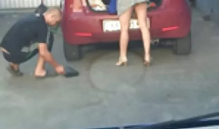 Dois gatos gostam de acariciar no ver vídeos adultos jacuzzi