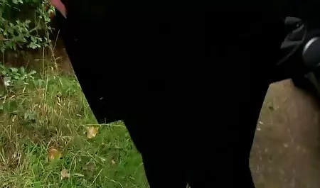 A pornstar striptease praia para a vista adultos xvideos
