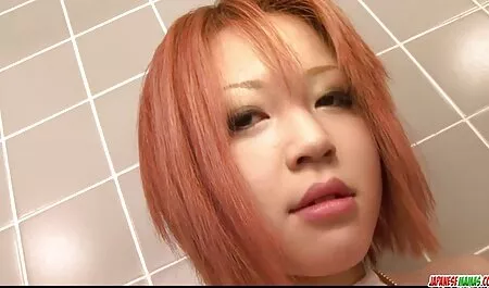 A cadela amamentação uns xnxx adulto dos outros durante o almoço