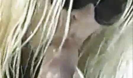 Uma menina, cabelo vermelho, áspero, equitação, namorado vídeos para adultos sexo pau e quer cum em sua boca