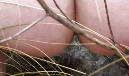 Gigante Mamas Punheta marido Pau terminando com porra videos adultos online gratis